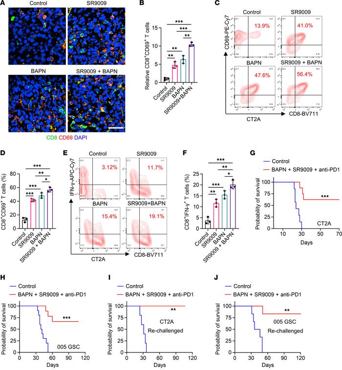 Dual Inhibition of LOX and CLOCK-OLFML3 axis activates antitumor immune ...