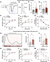 Dopamine release and its molecular regulation are modulated by biological s