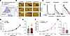 The pharmacodynamic effects of AMPH are modulated by the estrous cycle.
