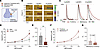 The pharmacodynamic effects of methylphenidate are enhanced in females and