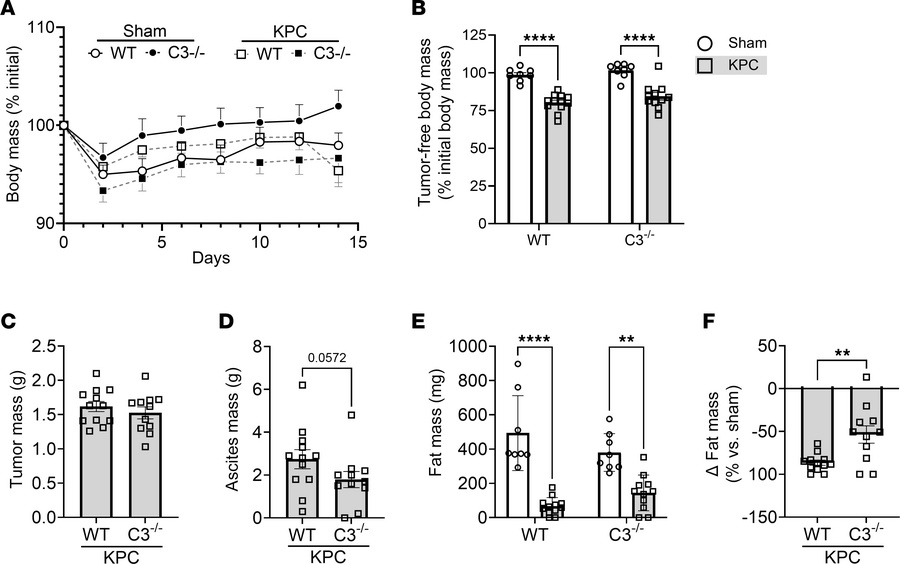 Deletion of C3 attenuates ascites and fat wasting in murine model of PDA...