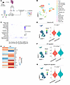 scRNA-Seq of mouse splenocytes reveals enhanced selective autophagy in the