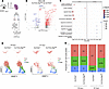 In vivo autophagy orchestrates GC transcriptional program and affects cell