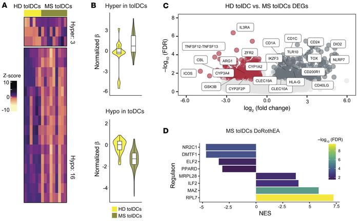 Vitamin D tolerization does not reverse MS DCs’ inflammatory fingerprint...