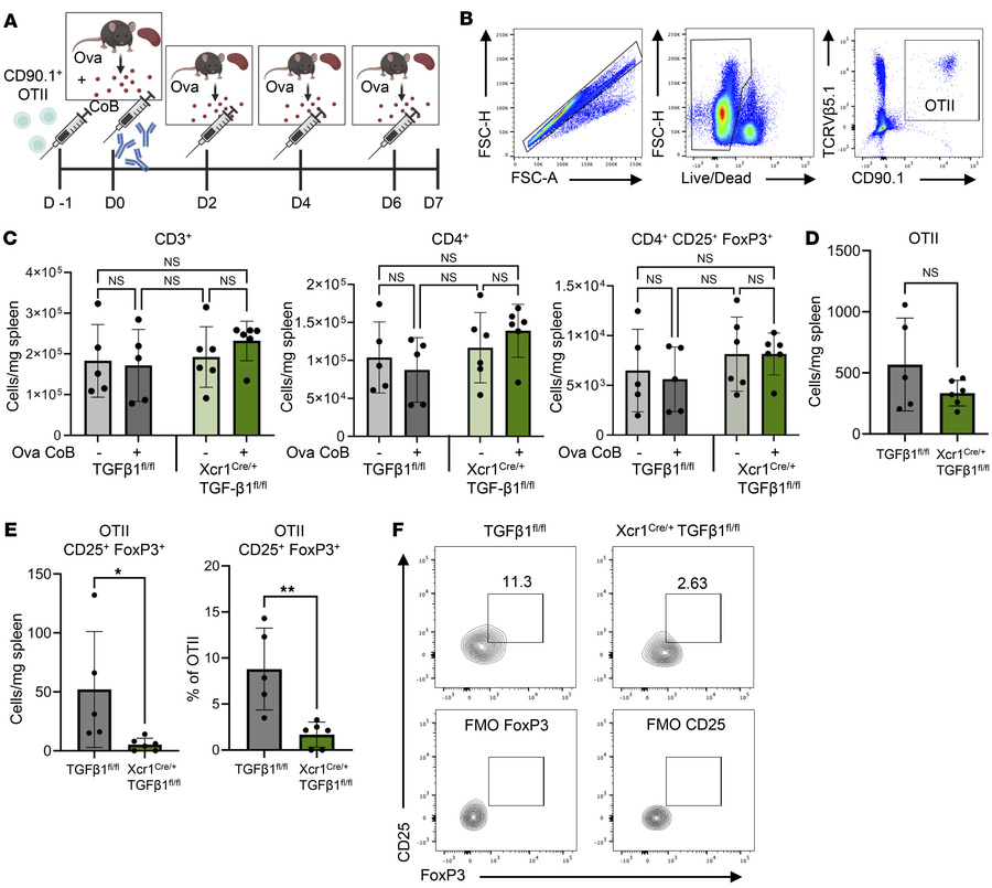 cDC1-expressed TGF-β1 is necessary for induction of antigen-specific CD2...