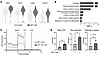 Mitochondrial respiration is increased in cDC1s after exposure to DST + CoB