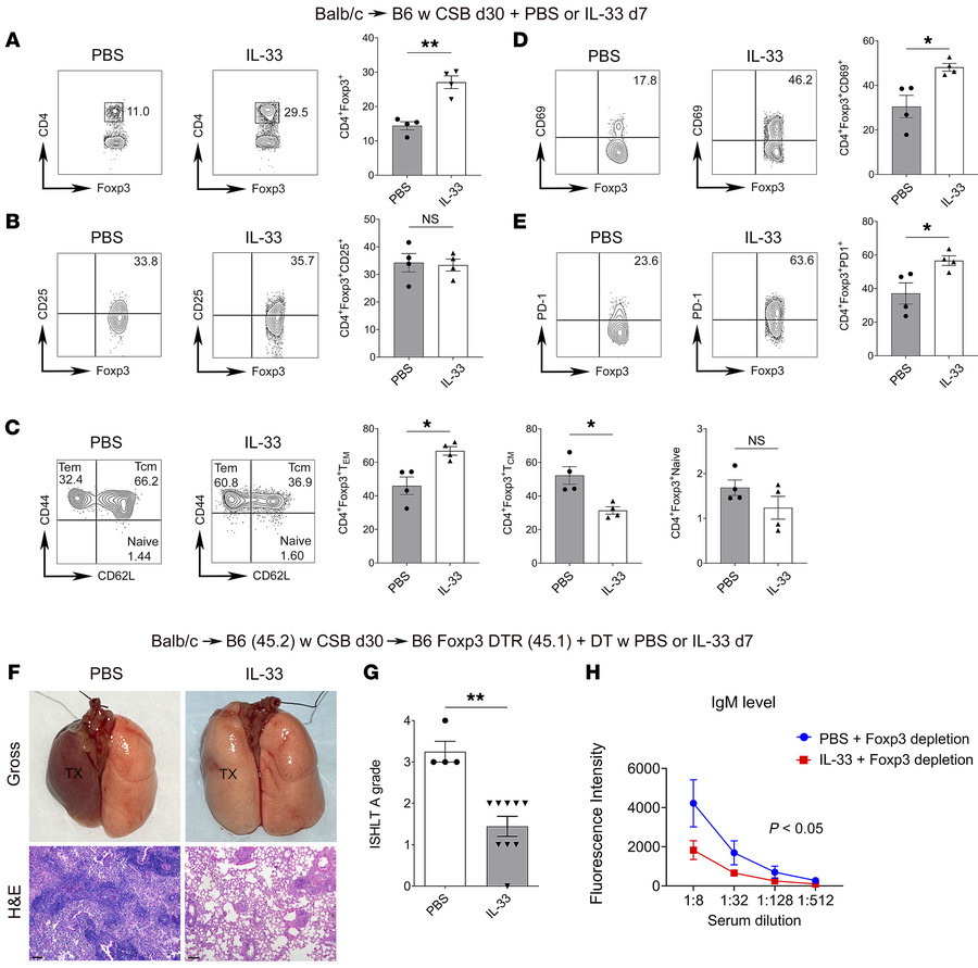 IL-33 promotes the expansion and activation of lung allograft–resident F...