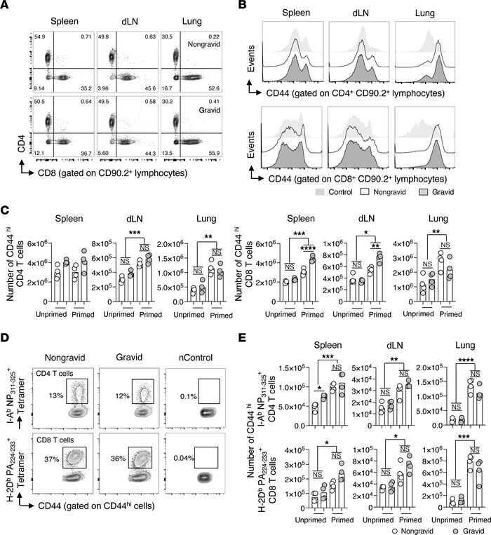 LAIV-primed heterosubtypic T cell recall responses against IAV are retai...