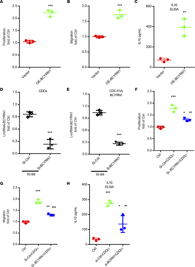 CDC-EV–mediated Treg proliferation, migration, and induction of IL-10 in...