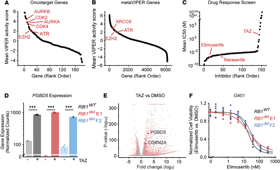 ATR inhibition is a therapeutic target and shows activity in tazemetosta...