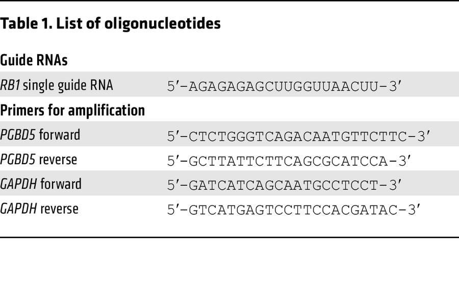 List of oligonucleotides