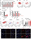Combination EZH2 and ATR inhibition improves response in vitro.