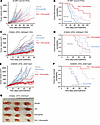 Tazemetostat plus elimusertib improves therapeutic response in vivo.