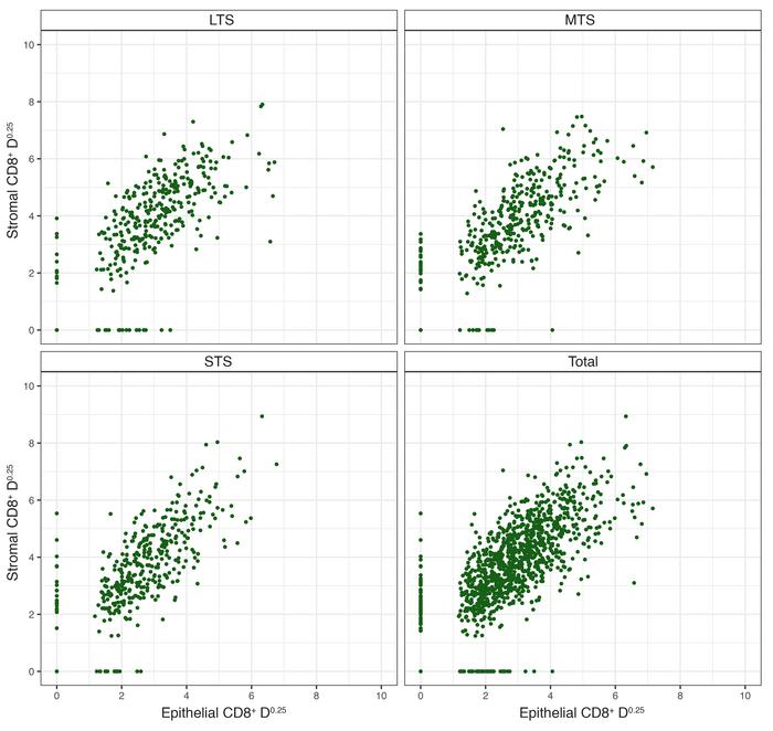 Intrastromal versus intraepithelial CD8+ TIL densities (cells/mm2) in tu...