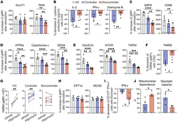 Impaired glycolytic responsiveness and increased FAO dependency of antig...