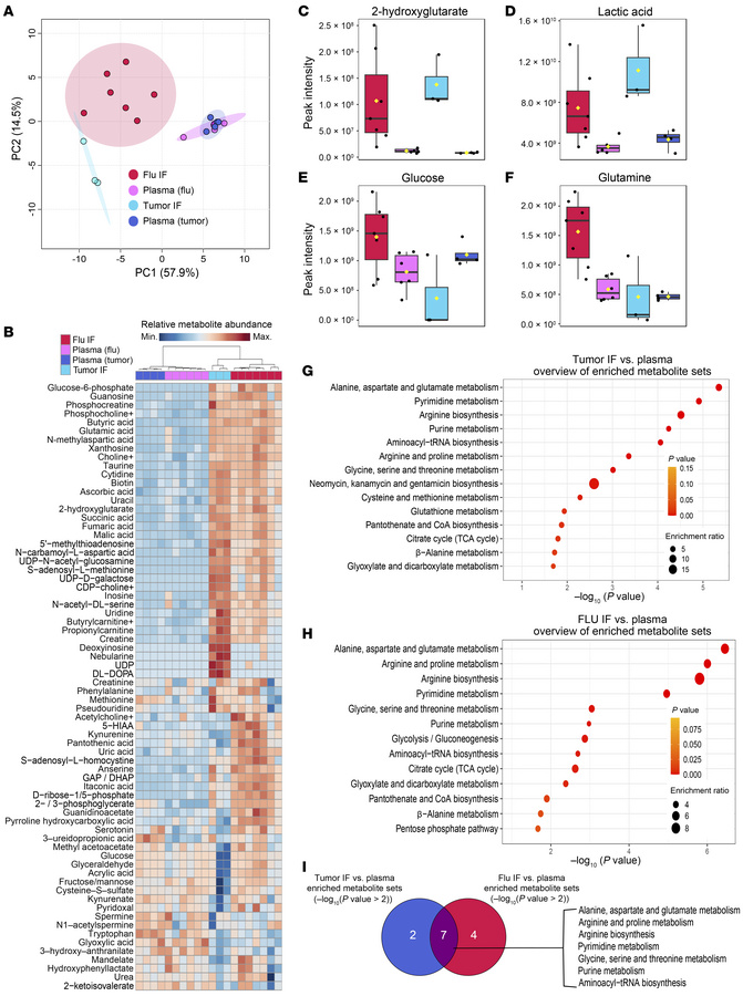 The metabolic landscape of the influenza virus–injured lung resembles th...