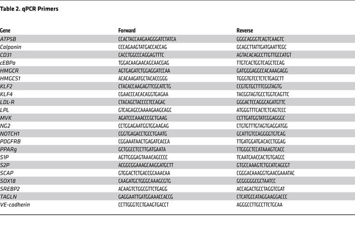 qPCR Primers