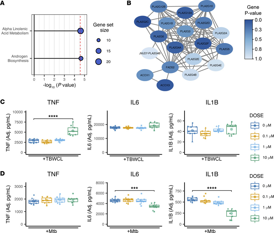 MAGMA enrichment identifies Mtb-induced TNF association with α-linolenic...