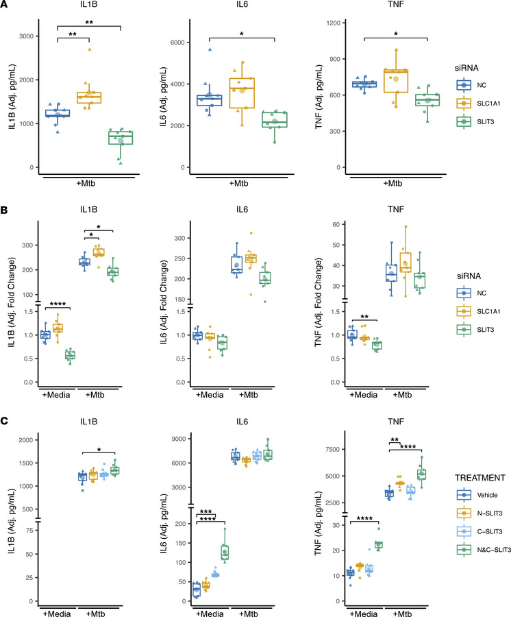 In vitro investigation of SNP-associated genes identifies SLC1A1 and SLI...