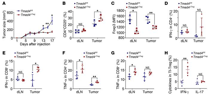 Loss of Tmed4 in Tregs boosts antitumor immunity in mice.
(A) Growth cur...