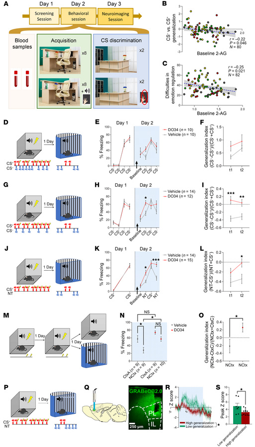 Decreased levels of 2-AG are associated with increased generalization to...