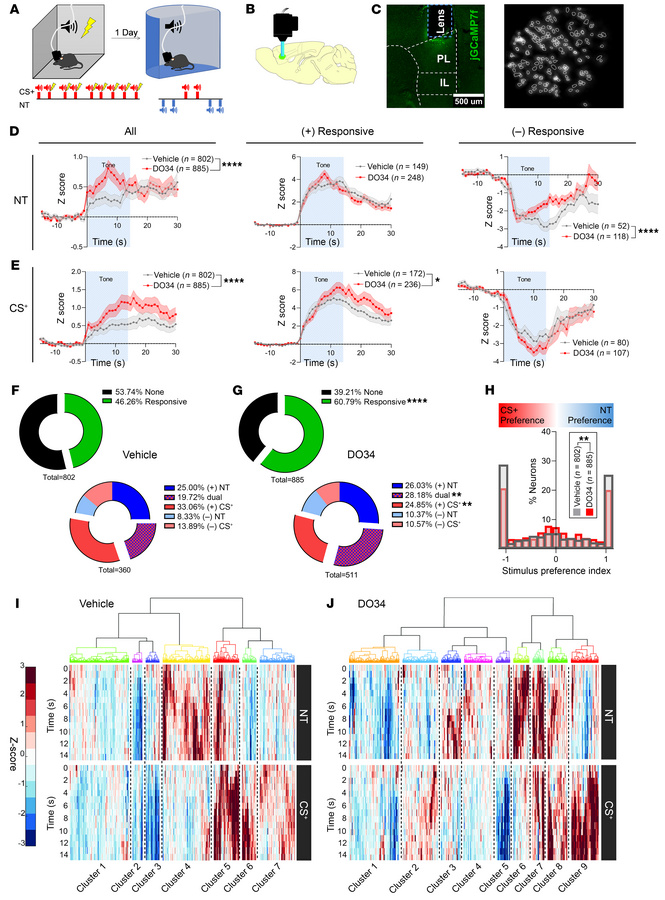 Neuronal tone responses in response to NTs and CS+.
(A) Schematic of exp...