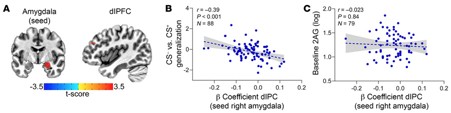dlPFC-amygdala resting-state connectivity is inversely correlated to fea...