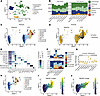 DMAM2 cluster emerges from PEX5cKO microglia after demyelination.