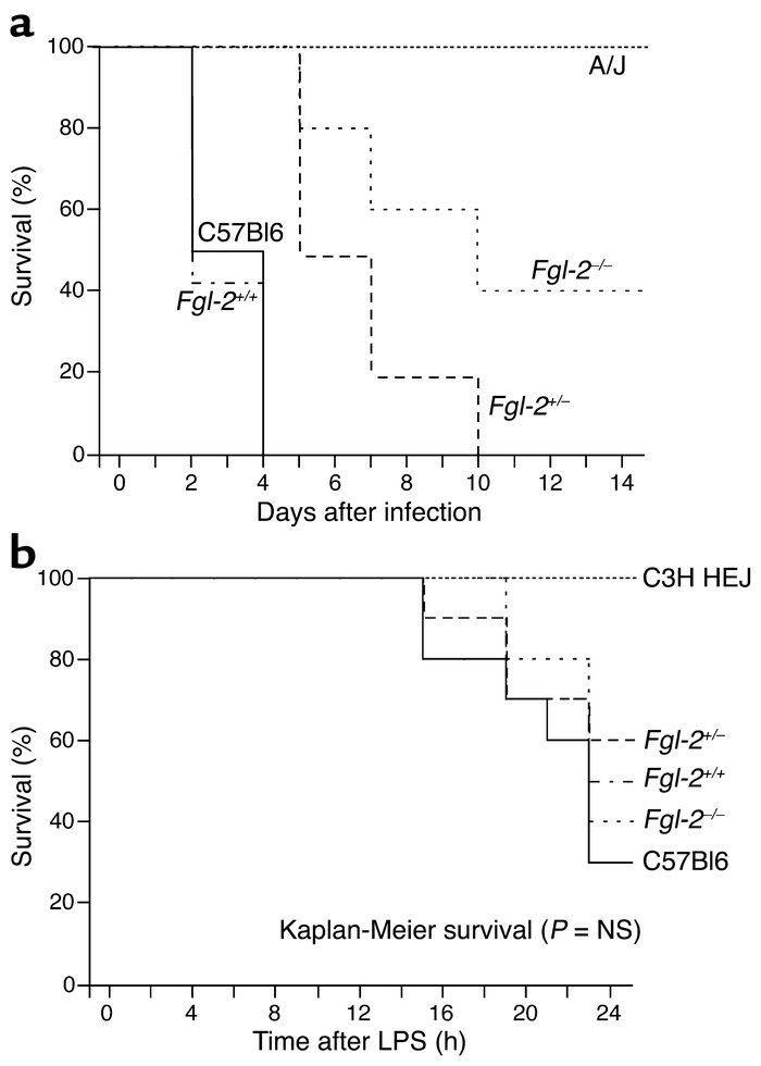 Fgl2/fibroleukin–deficient mice. (a) Mortality in MHV-3–infected (1,000 ...