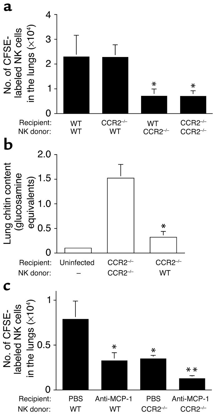 Role of CCR2 in in vivo recruitment of NK cells to the lungs in invasive...