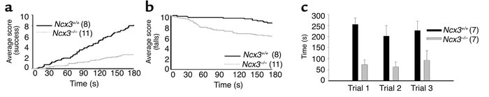 Behavior alterations in Ncx3–/– mice. (a) Average success score and (b) ...