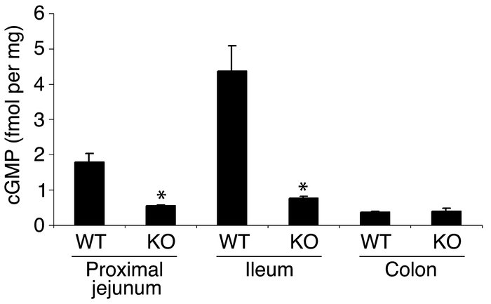 cGMP levels in epithelia from the proximal jejunum, ileum, and colon. Le...