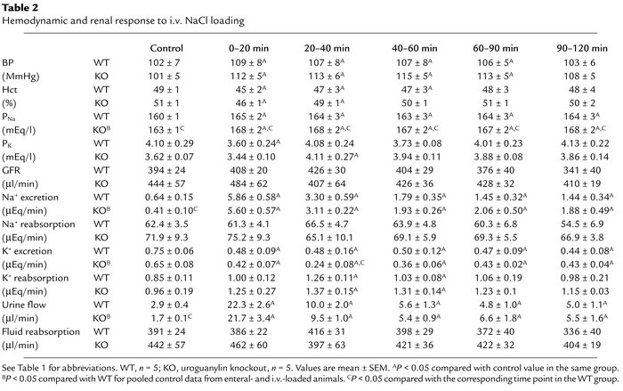 Hemodynamic and renal response to i.v. NaCl loading