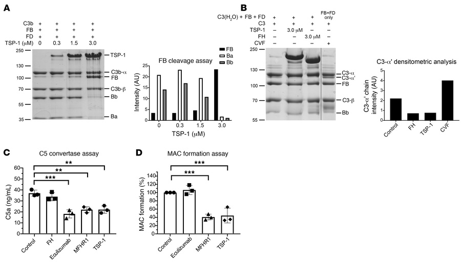 TSP-1 modulates complement at the C3 and C5 level of the complement casc...