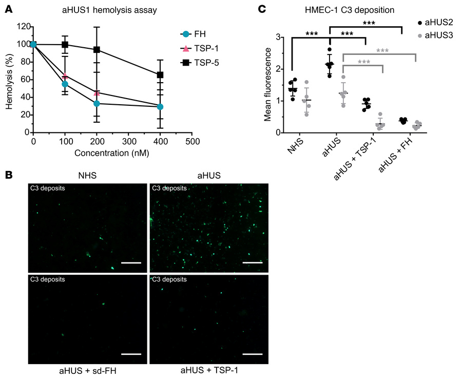 TSP-1 inhibits hemolytic activity and pathogenic C3 deposition on endoth...