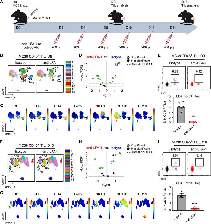 LFA-1 blockade prevents Treg infiltration into the TME.
(A) Experimental...
