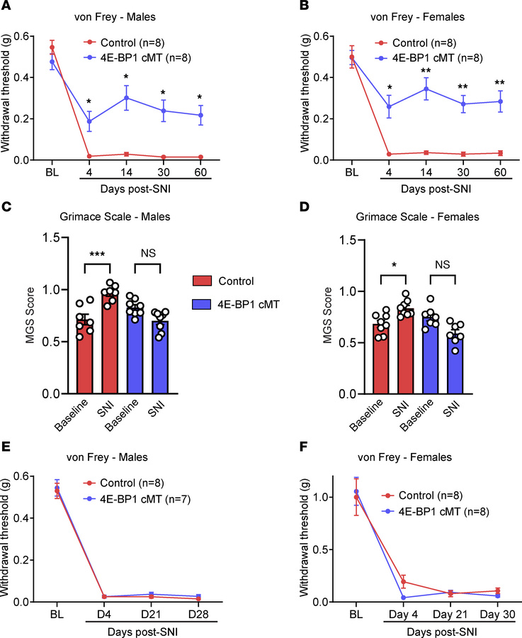 Downregulating translation in microglia alleviates neuropathic pain.
Paw...