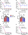 Downregulating translation in microglia alleviates neuropathic pain.