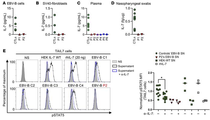Lack of endogenous IL-7 detection.
(A–D) IL-7 expression, as measured by...