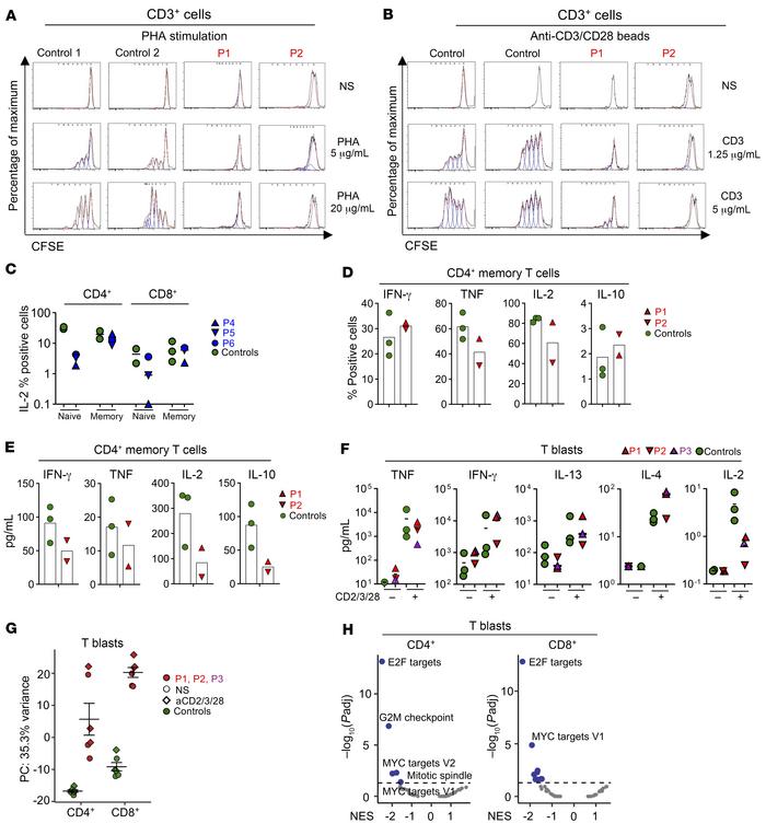 Peripheral T cell functions.
(A and B) Fresh PBMCs from age-matched cont...