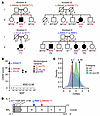 Private biallelic IL7 variants in 6 patients from 4 unrelated kindred.