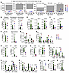 Impaired development of specific T lymphocyte subsets.
