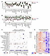 Single-cell transcriptomic analysis.