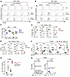 Peripheral T cell functions.