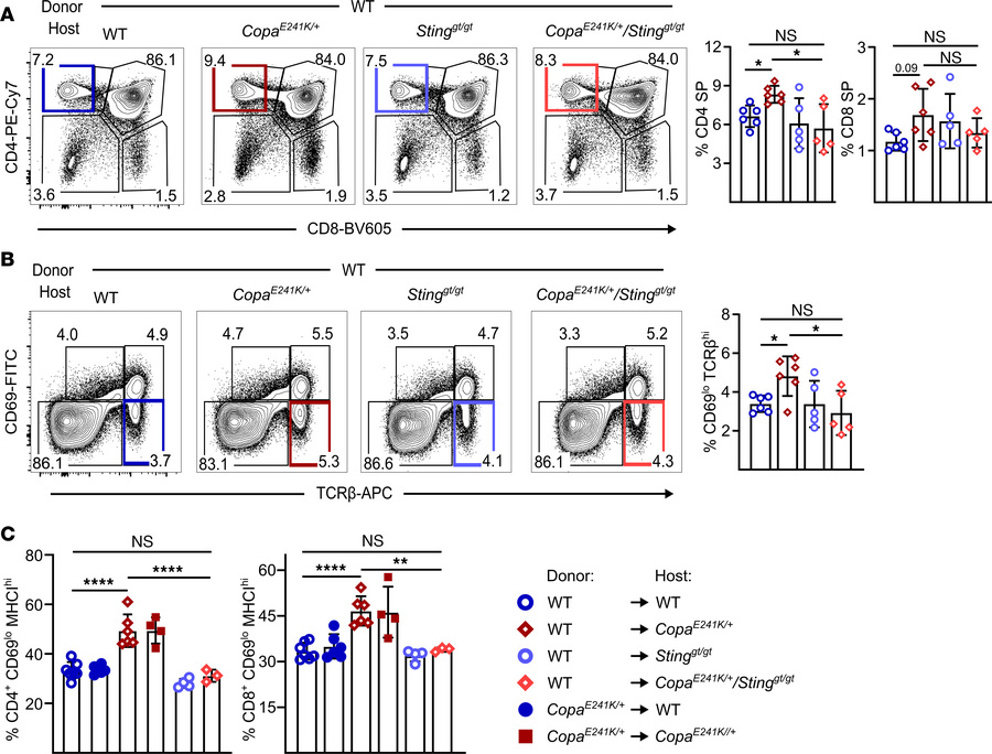 Activated STING in thymic stroma increases SP thymocytes.
(A) Left: repr...