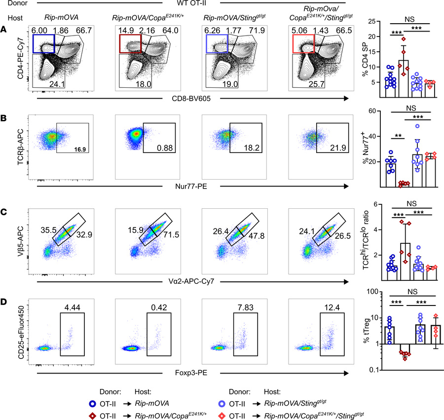 Activated STING impairs negative selection of T cells and alters the T c...