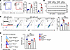 Constitutive activation of STING in the thymus impairs autophagic flux.