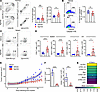 A systemic STING agonist increases autoreactive T cells in the thymus.