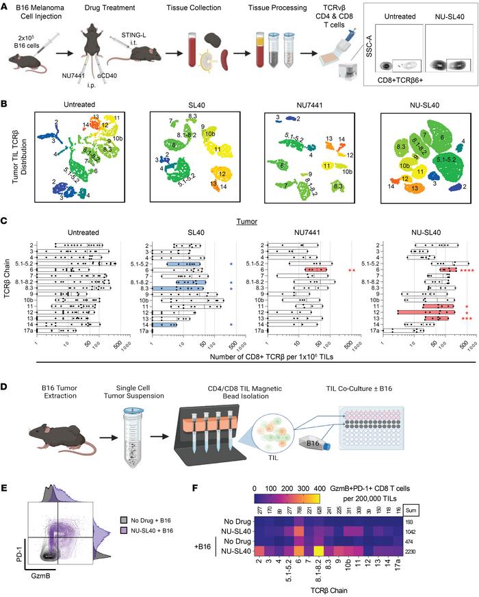 DNA-PK inhibition drives TCRvβ diversity of highly functional tumor-reac...