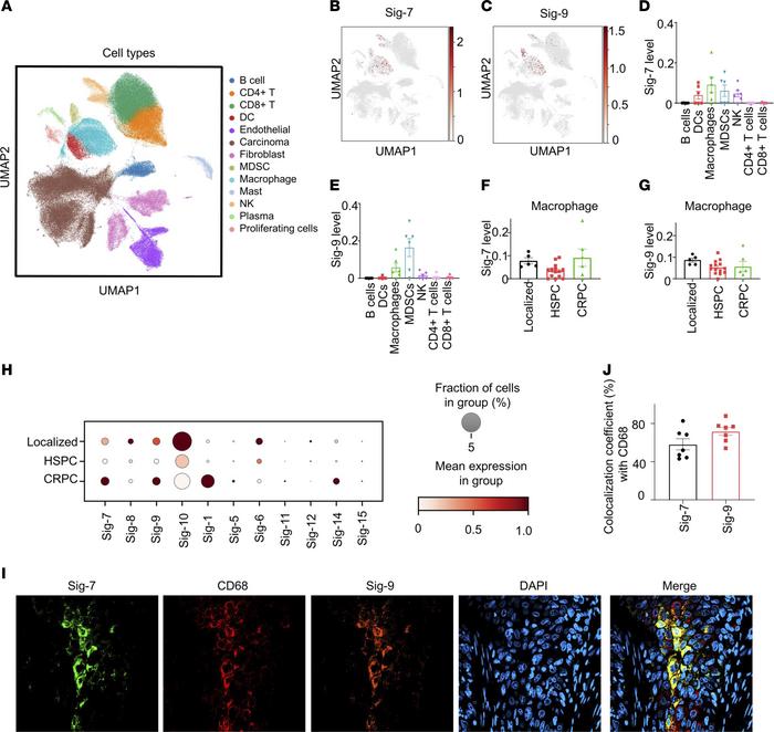 Siglec-7 and Siglec-9 are coexpressed on myeloid cells in human prostate...